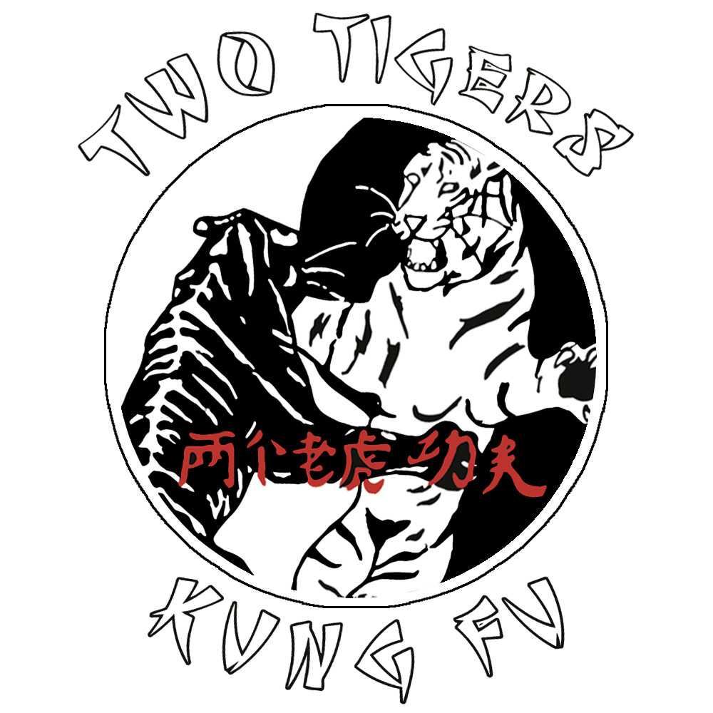 Two Tigers Kung Fu Academy